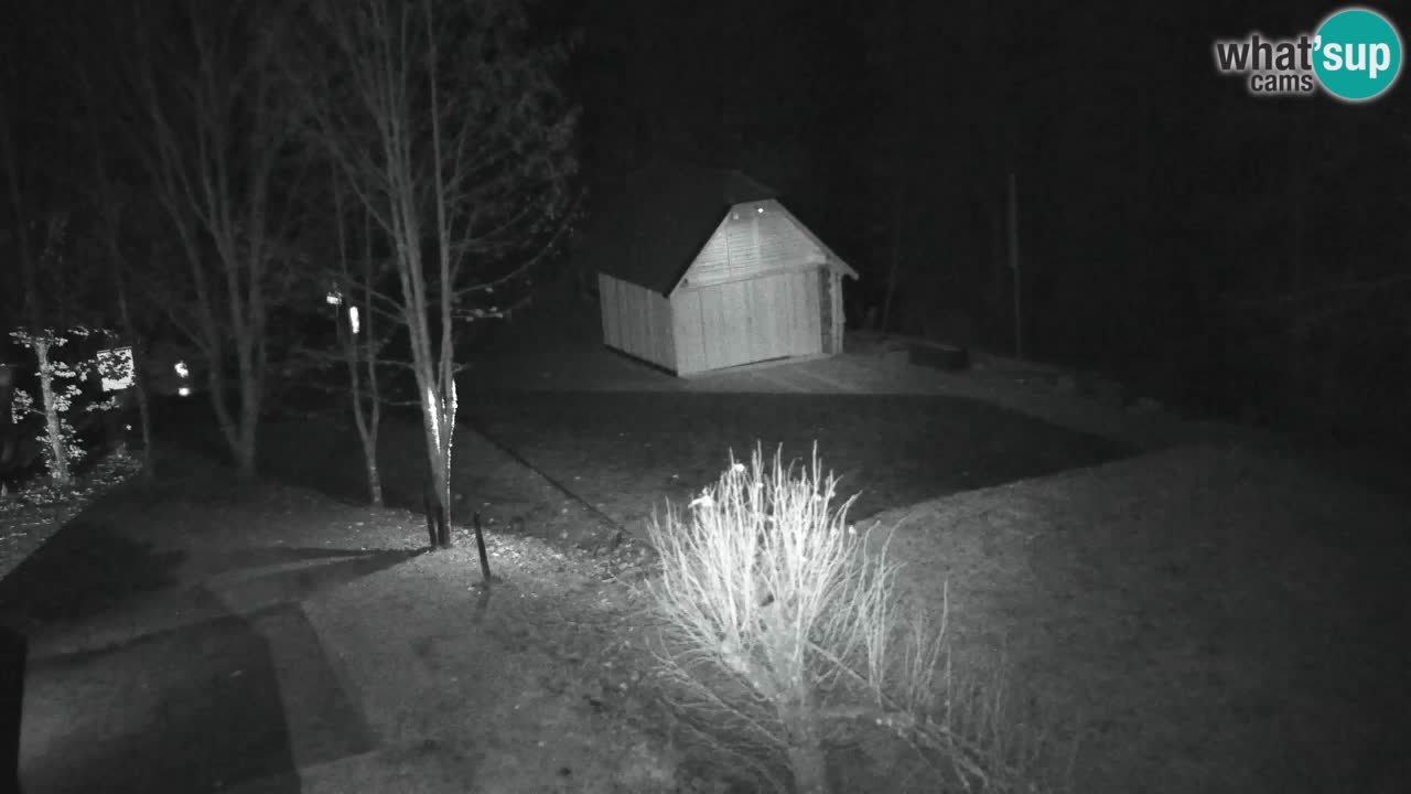 Webcam Lukanja – Water Village | Pohorje Houses