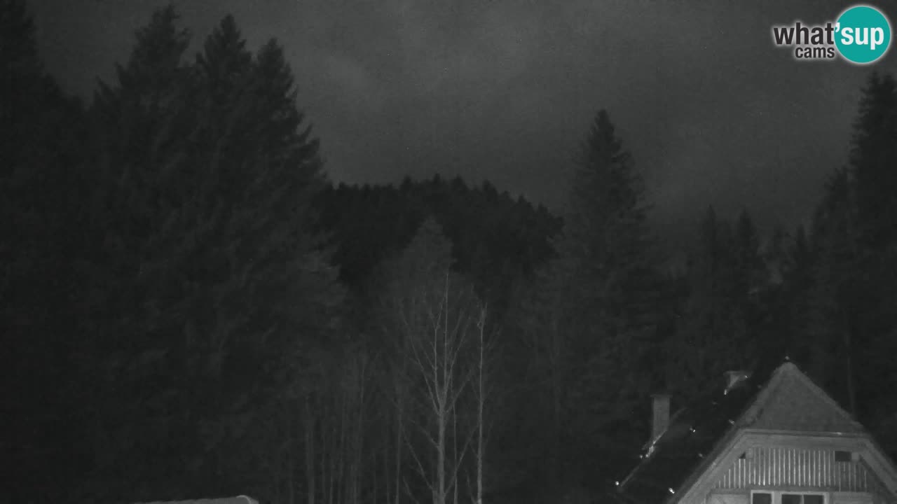 Web kamera Lukanja – Water Village | Pohorje Houses