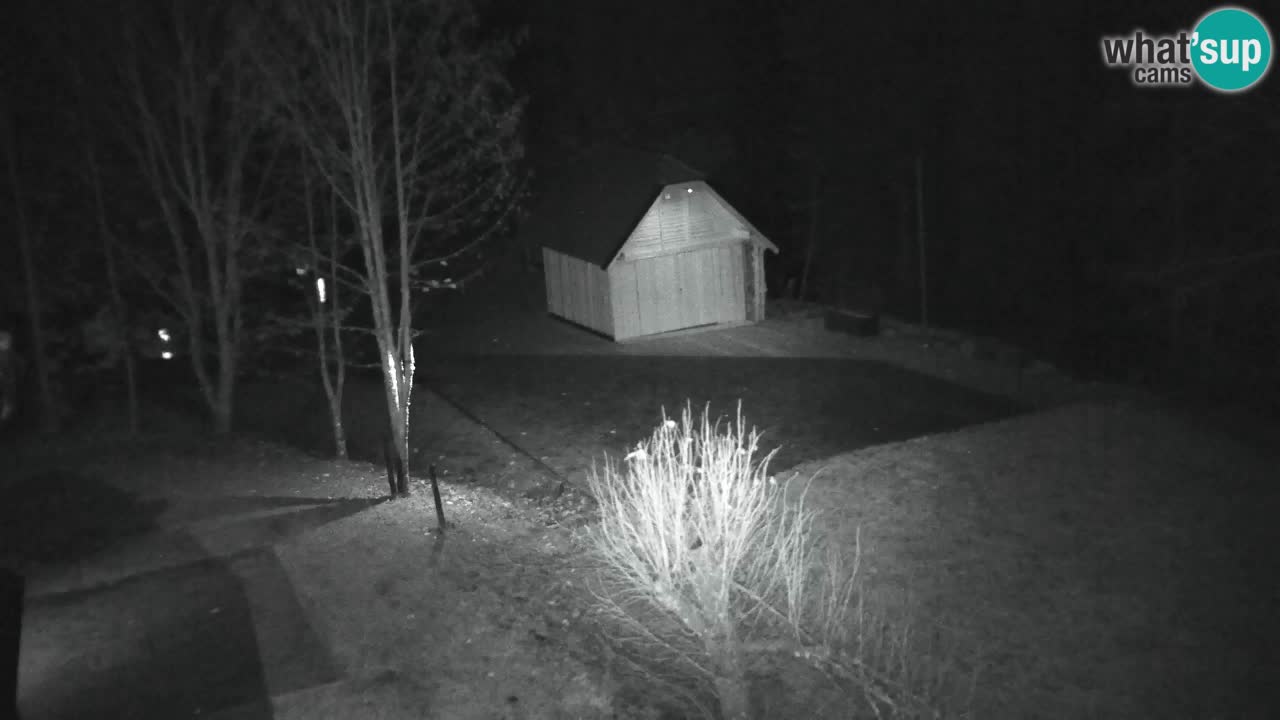 Webcam Lukanja – Water Village | Pohorje Houses