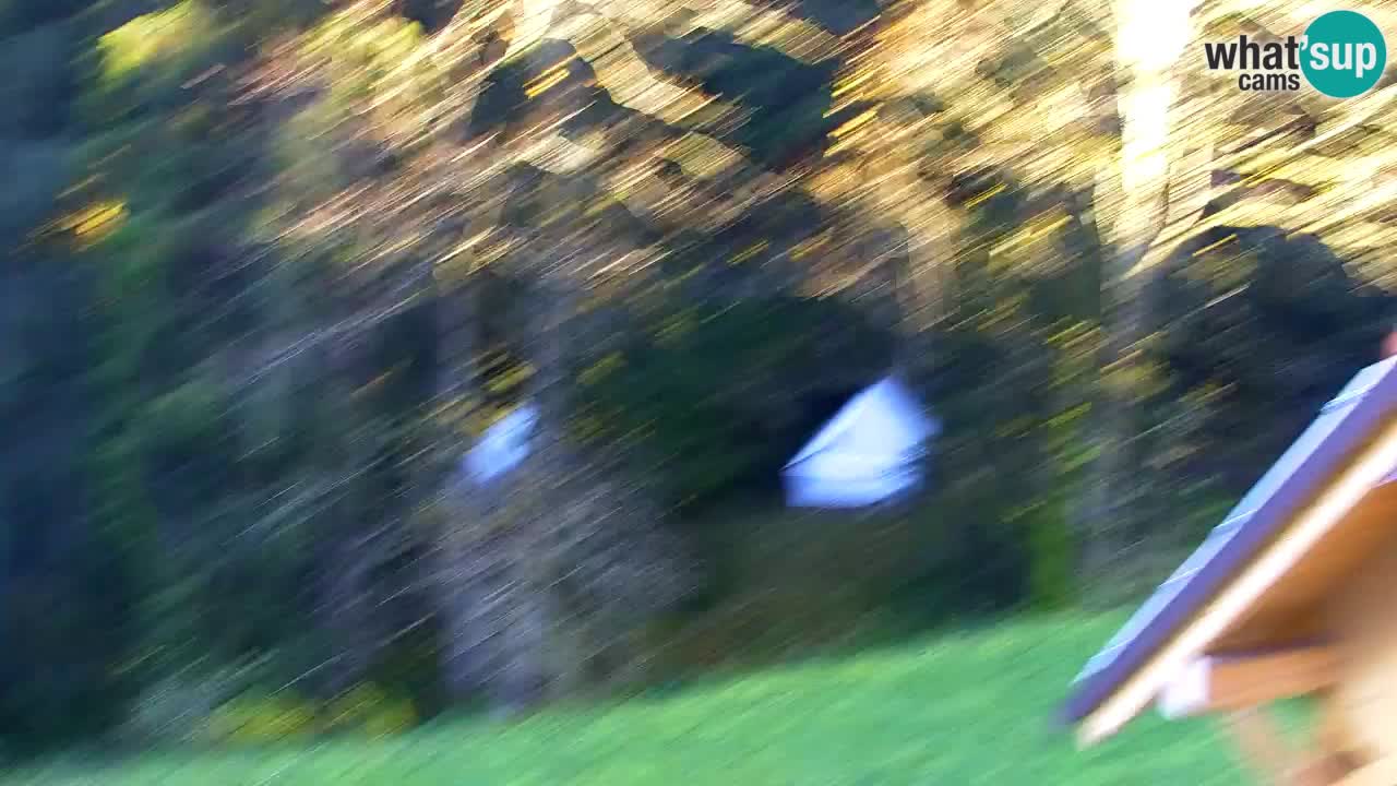 Webcam Lukanja – Water Village | Pohorje Houses