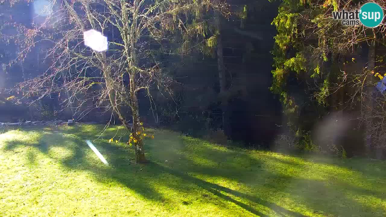 Webcam Lukanja – Water Village | Pohorje Houses