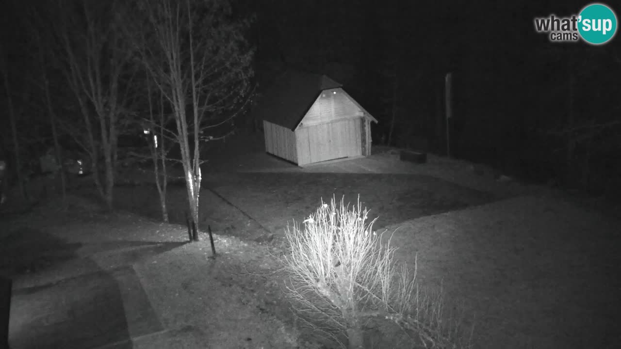 Webcam Lukanja – Water Village | Pohorje Houses