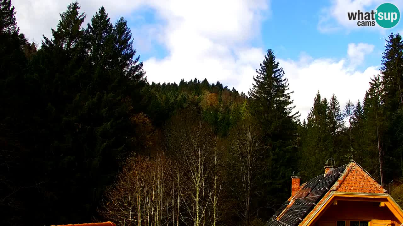 Spletna kamera Lukanja – Water Village | Pohorje Houses