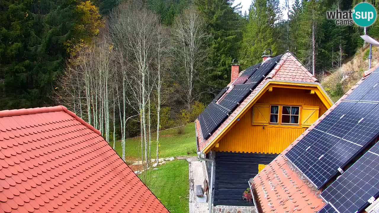 Webcam Lukanja – Water Village | Pohorje Houses