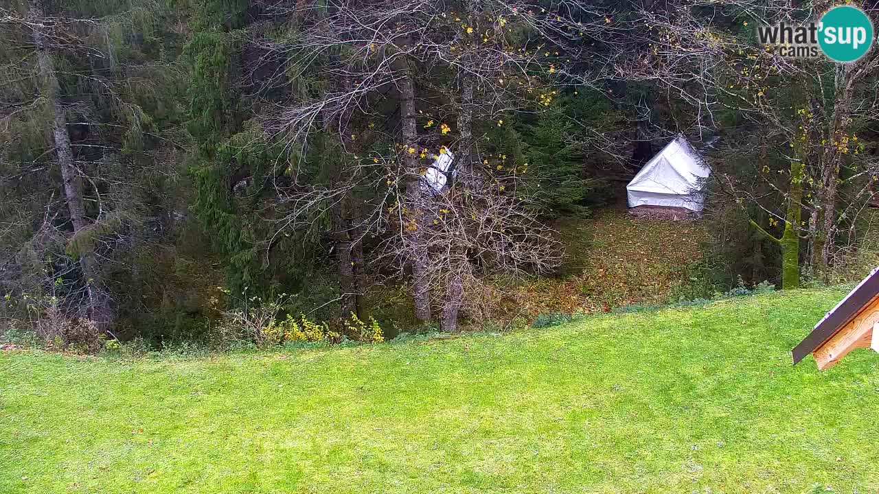 Webcam Lukanja – Pohorje houses a Water village