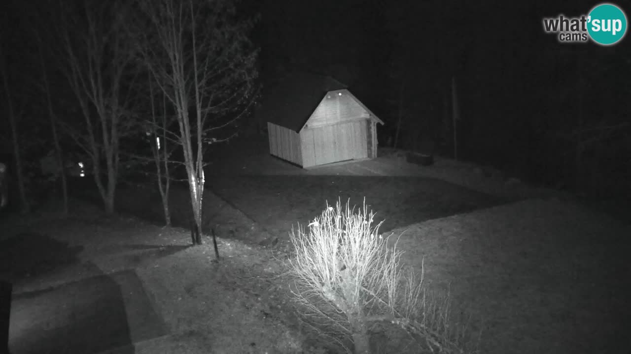 Webcam Lukanja – Water Village | Pohorje Houses