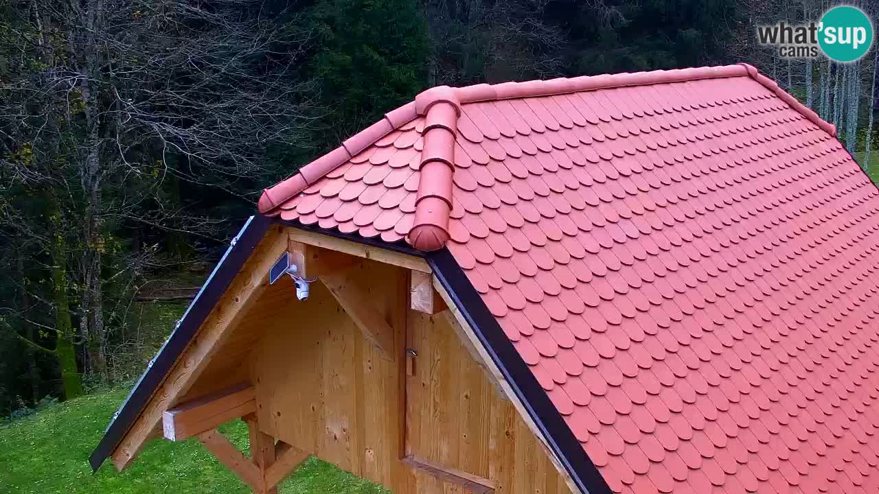 Webcam Lukanja – Water Village | Pohorje Houses