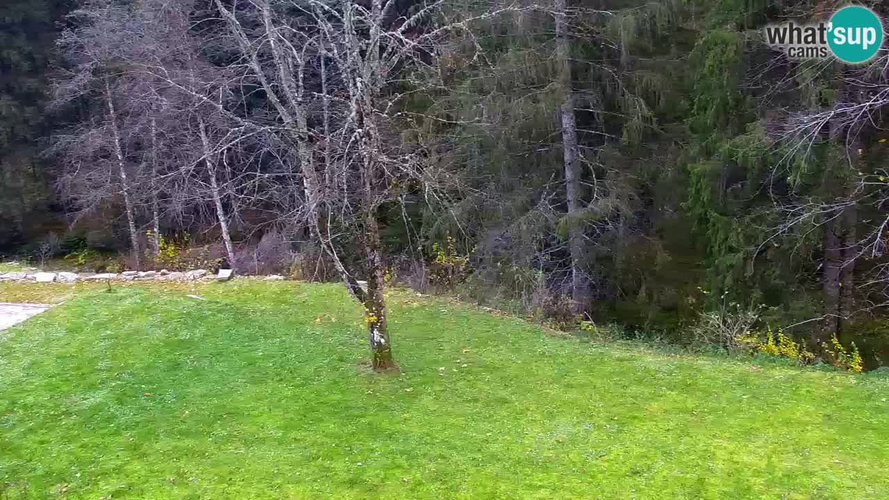 Webcam Lukanja – Water Village | Pohorje Houses