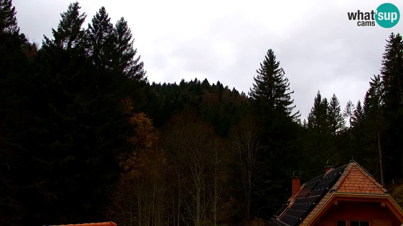 Webcam Lukanja – Water Village | Pohorje Houses