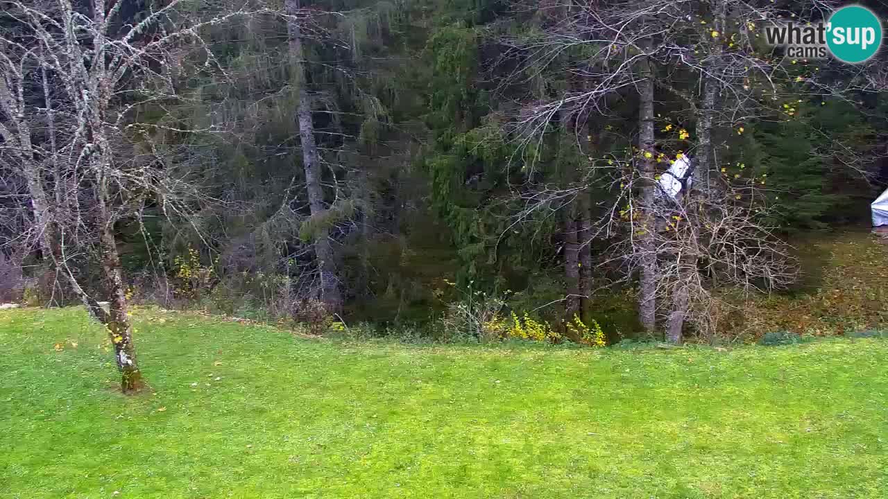 Webcam Lukanja – Water Village | Pohorje Houses