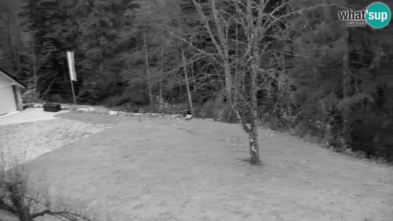 Web kamera Lukanja – Water Village | Pohorje Houses