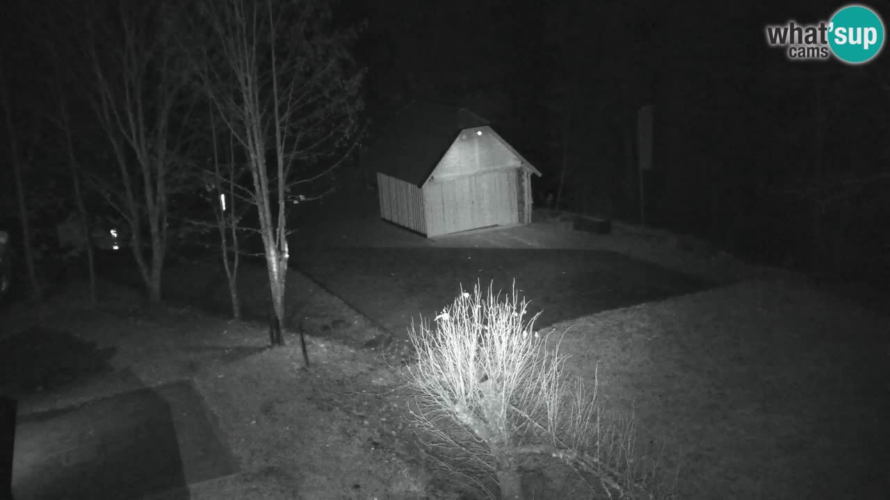 Webcam Lukanja – Pohorje houses a Water village