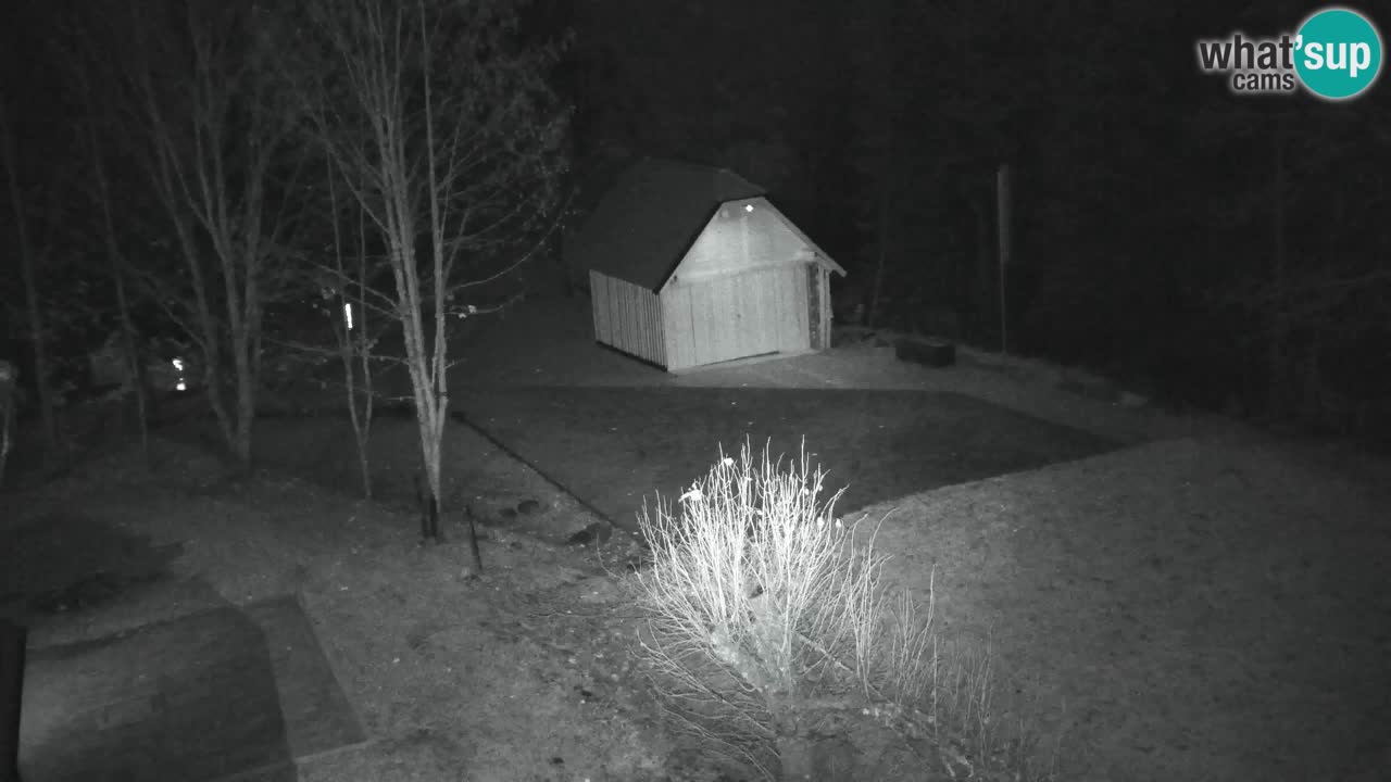 Spletna kamera Lukanja – Water Village | Pohorje Houses