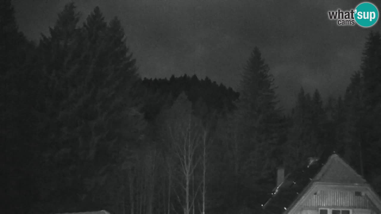 Spletna kamera Lukanja – Water Village | Pohorje Houses