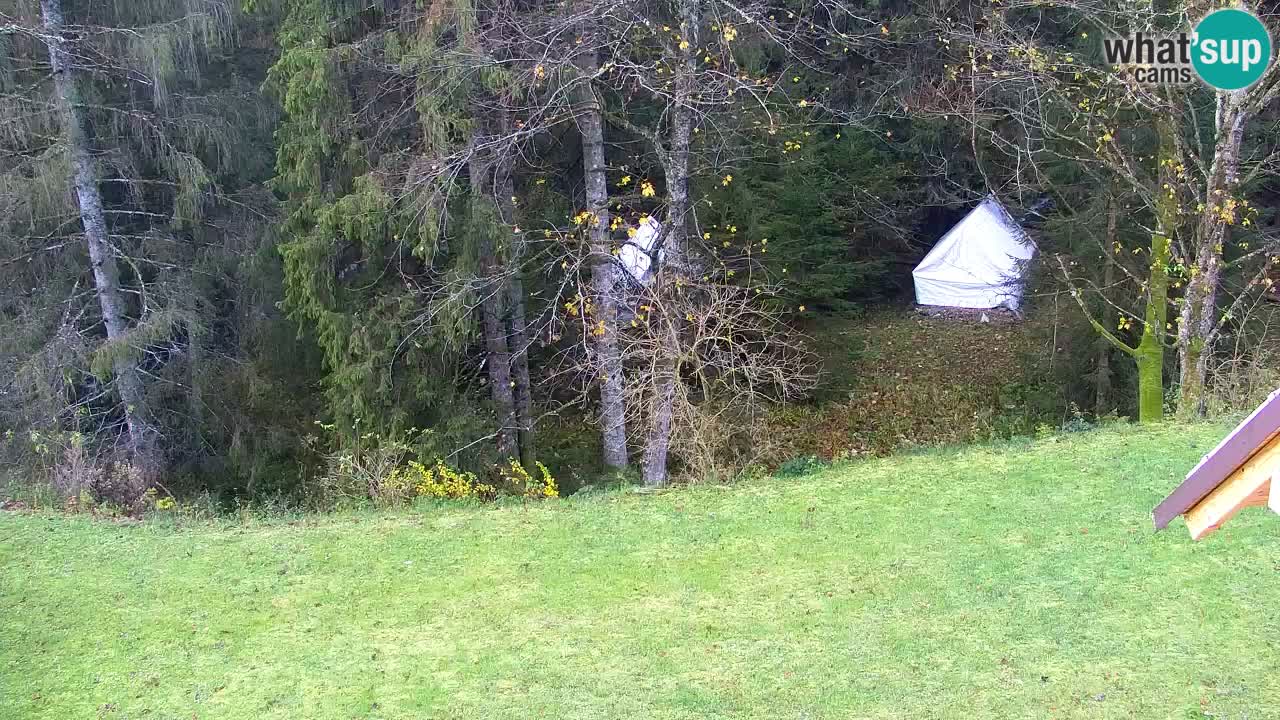 Spletna kamera Lukanja – Water Village | Pohorje Houses