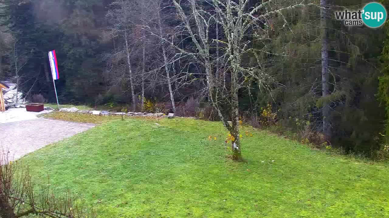 Webcam Lukanja – Pohorje houses a Water village