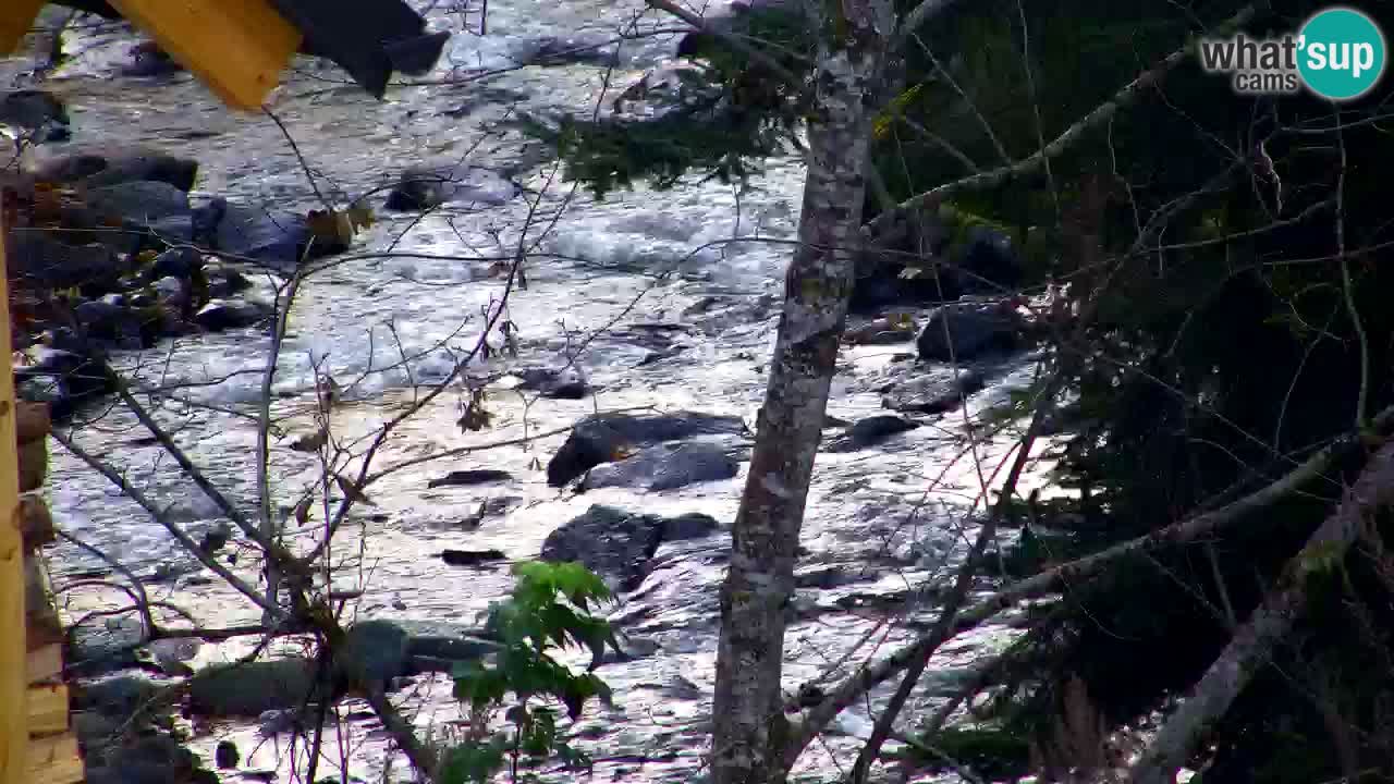 Webcam Lukanja – Water Village | Pohorje Houses