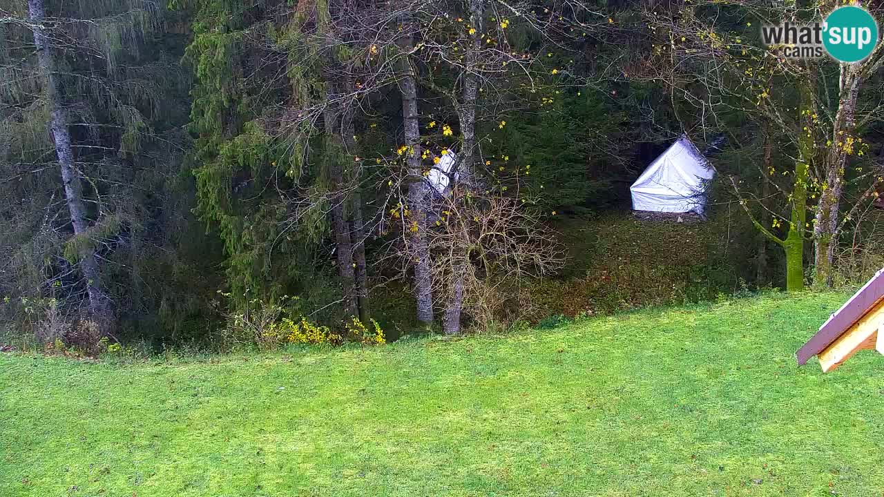 Webcam Lukanja – Water Village | Pohorje Houses