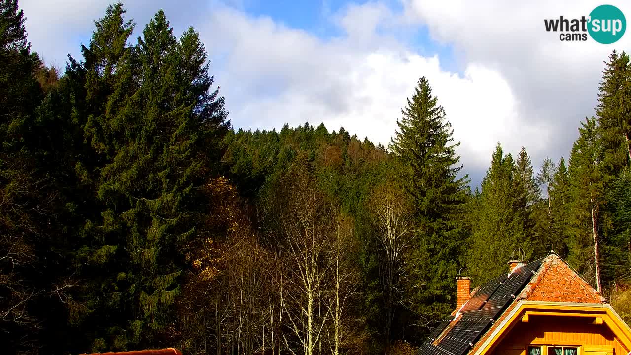 Webcam Lukanja – Water Village | Pohorje Houses