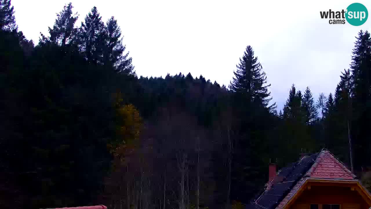 Web kamera Lukanja – Water Village | Pohorje Houses