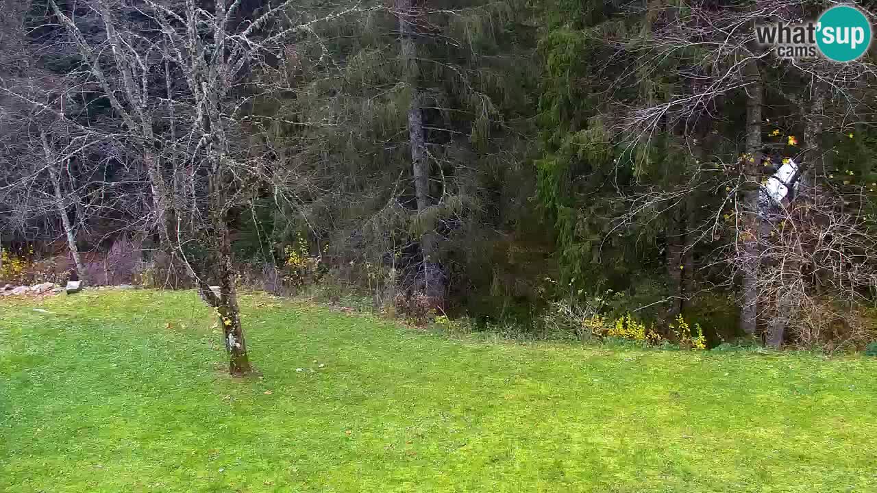 Webcam Lukanja – Water Village | Pohorje Houses