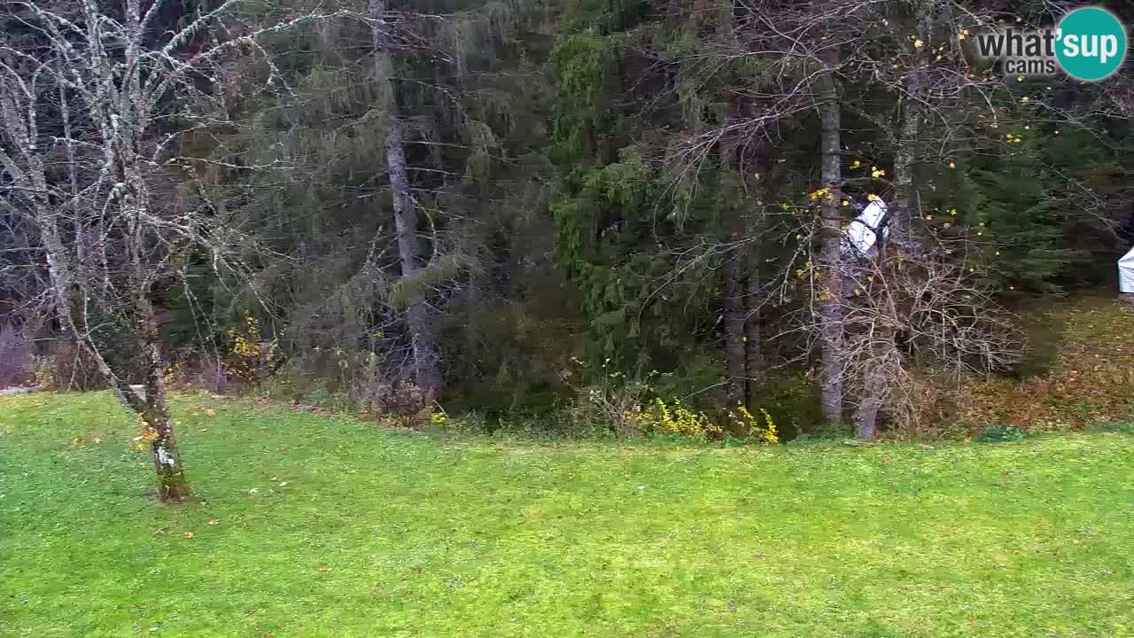 Webcam Lukanja – Water Village | Pohorje Houses