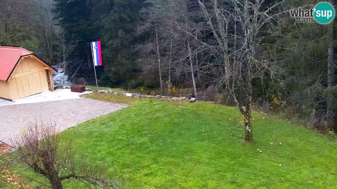 Webcam Lukanja – Water Village | Pohorje Houses