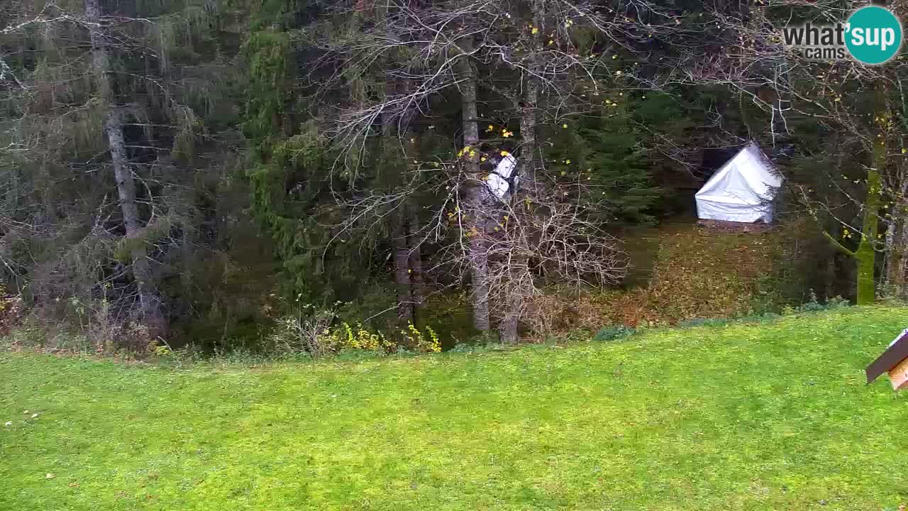 Webcam Lukanja – Water Village | Pohorje Houses