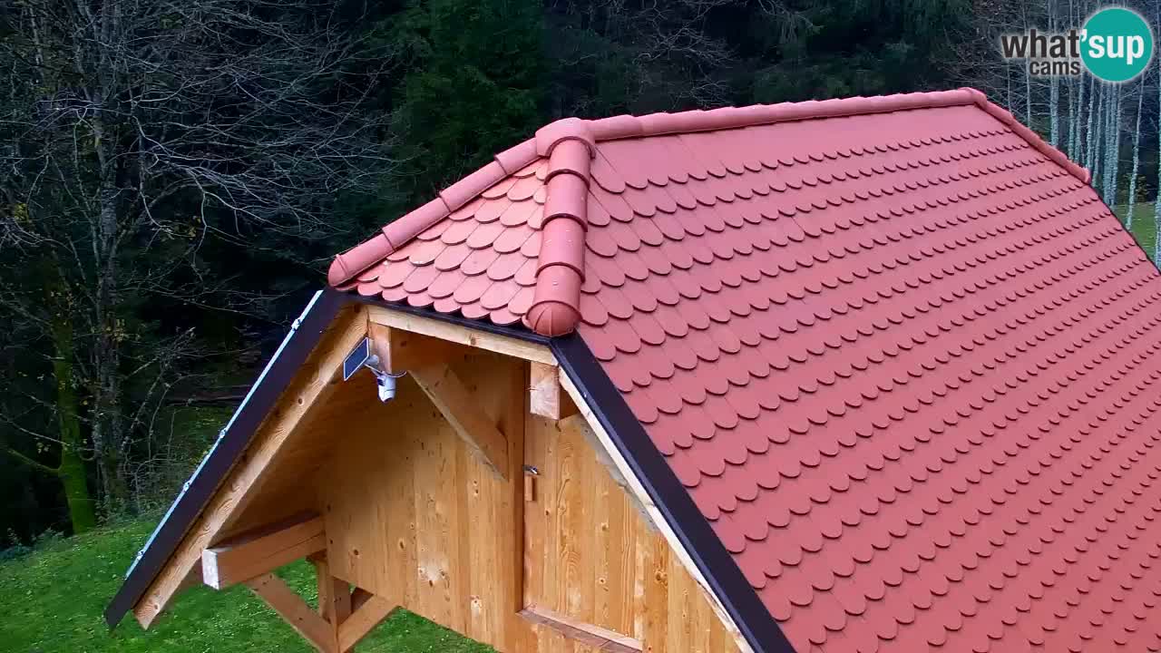 Webcam Lukanja – Pohorje houses a Water village