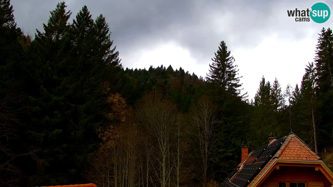 Webcam Lukanja – Water Village | Pohorje Houses