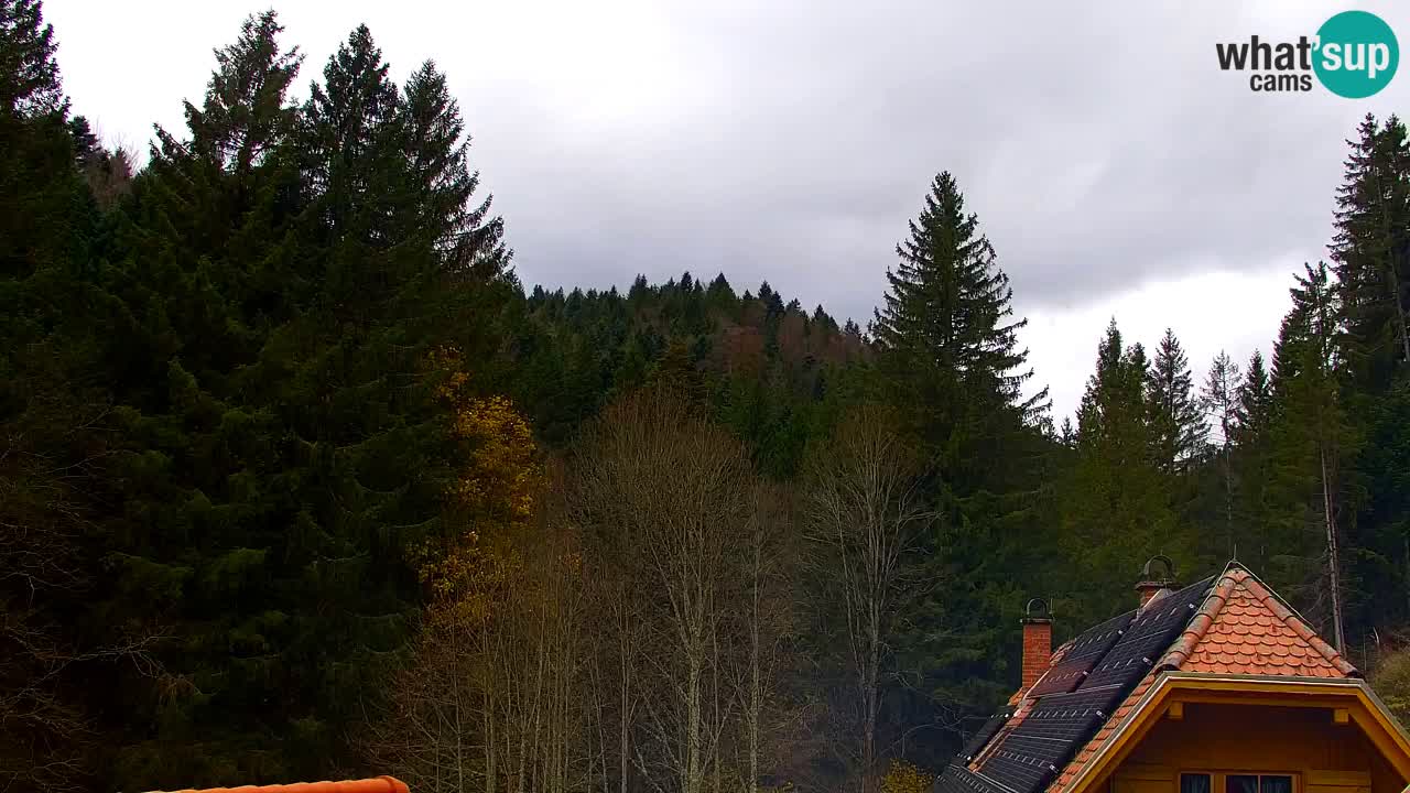 Web kamera Lukanja – Water Village | Pohorje Houses