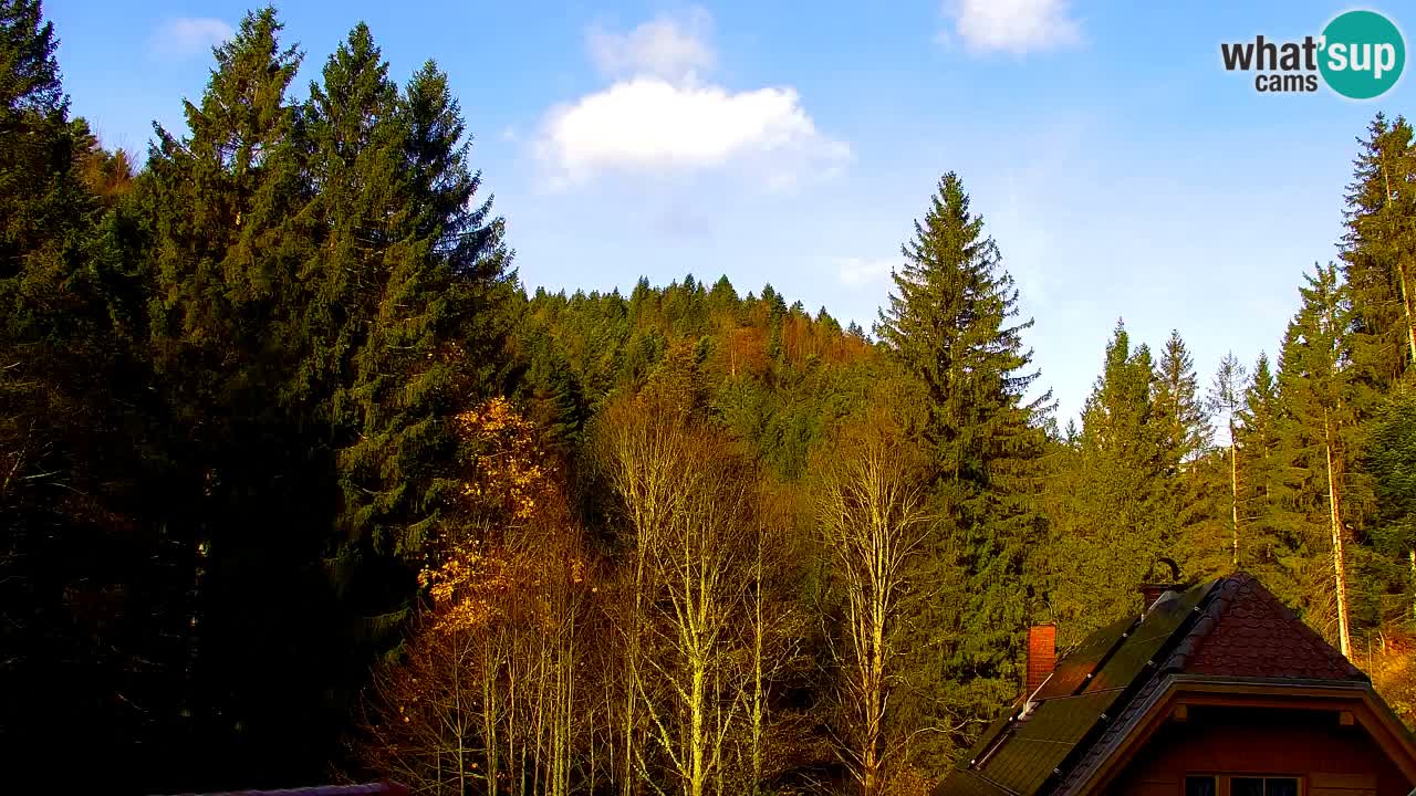 Webcam Lukanja – Water Village | Pohorje Houses
