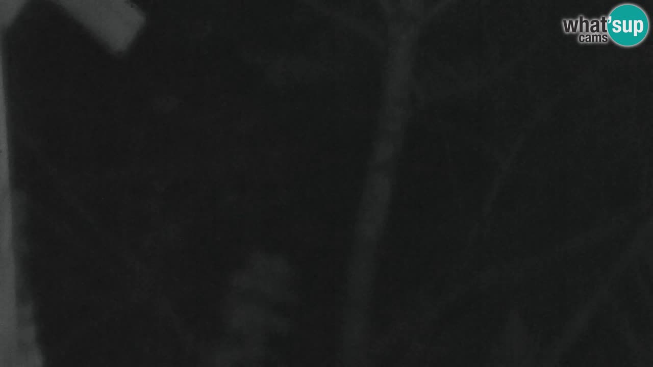 Web kamera Lukanja – Water Village | Pohorje Houses