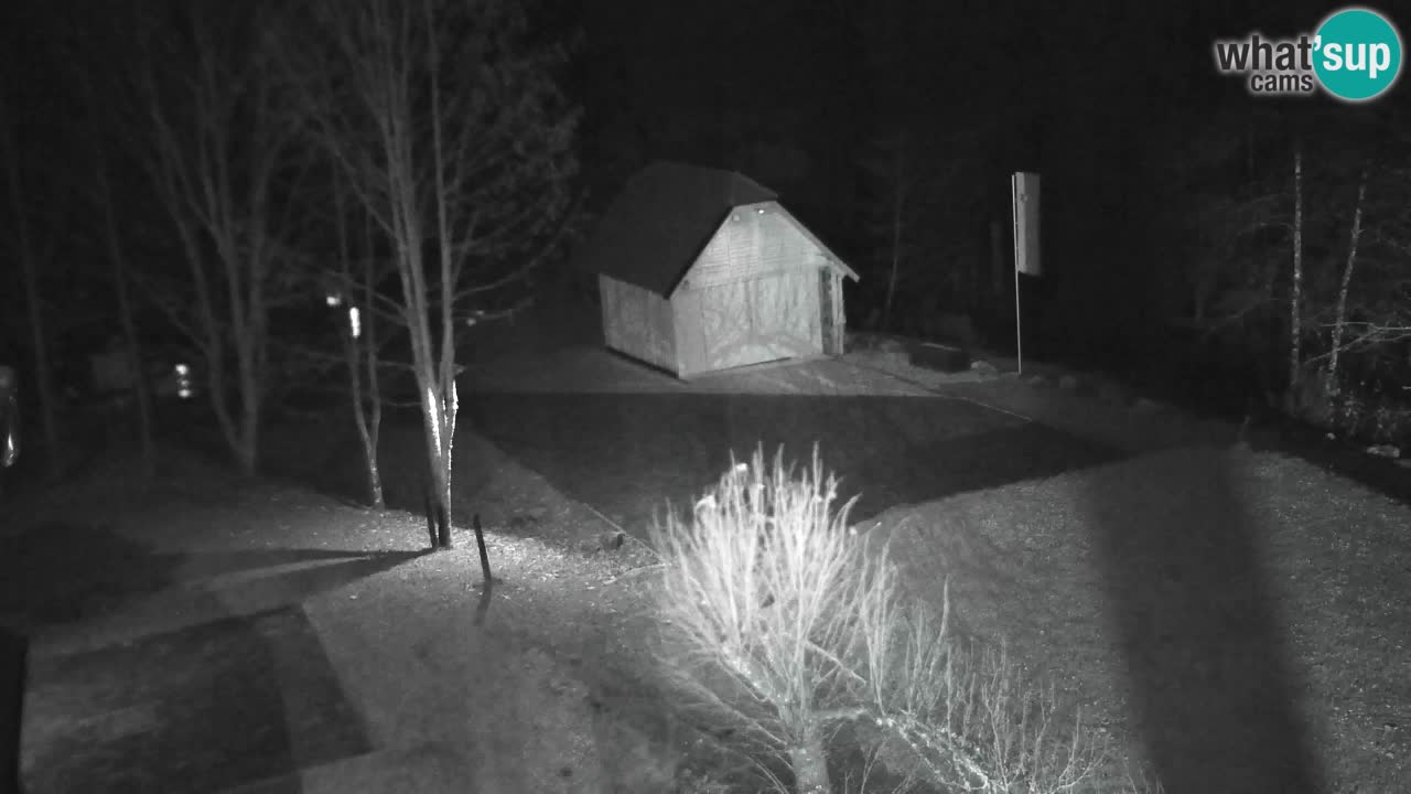 Web kamera Lukanja – Water Village | Pohorje Houses