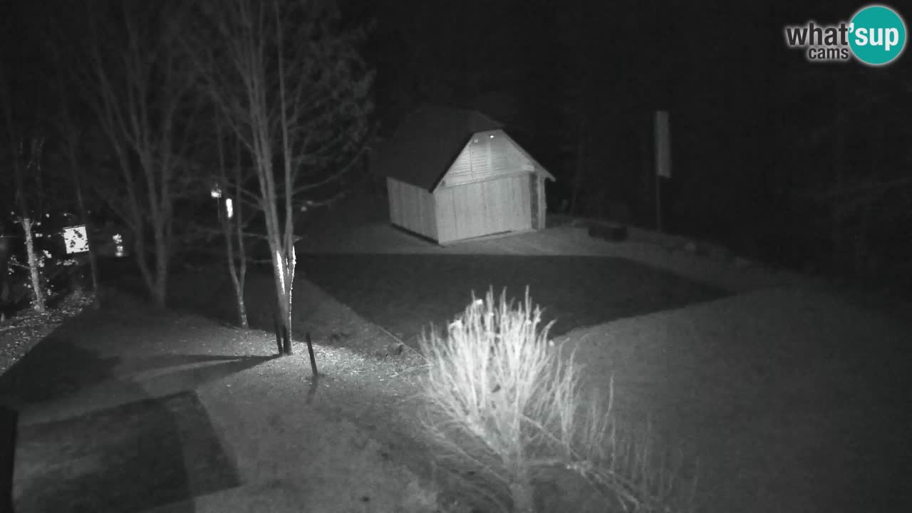 Webcam Lukanja – Water Village | Pohorje Houses