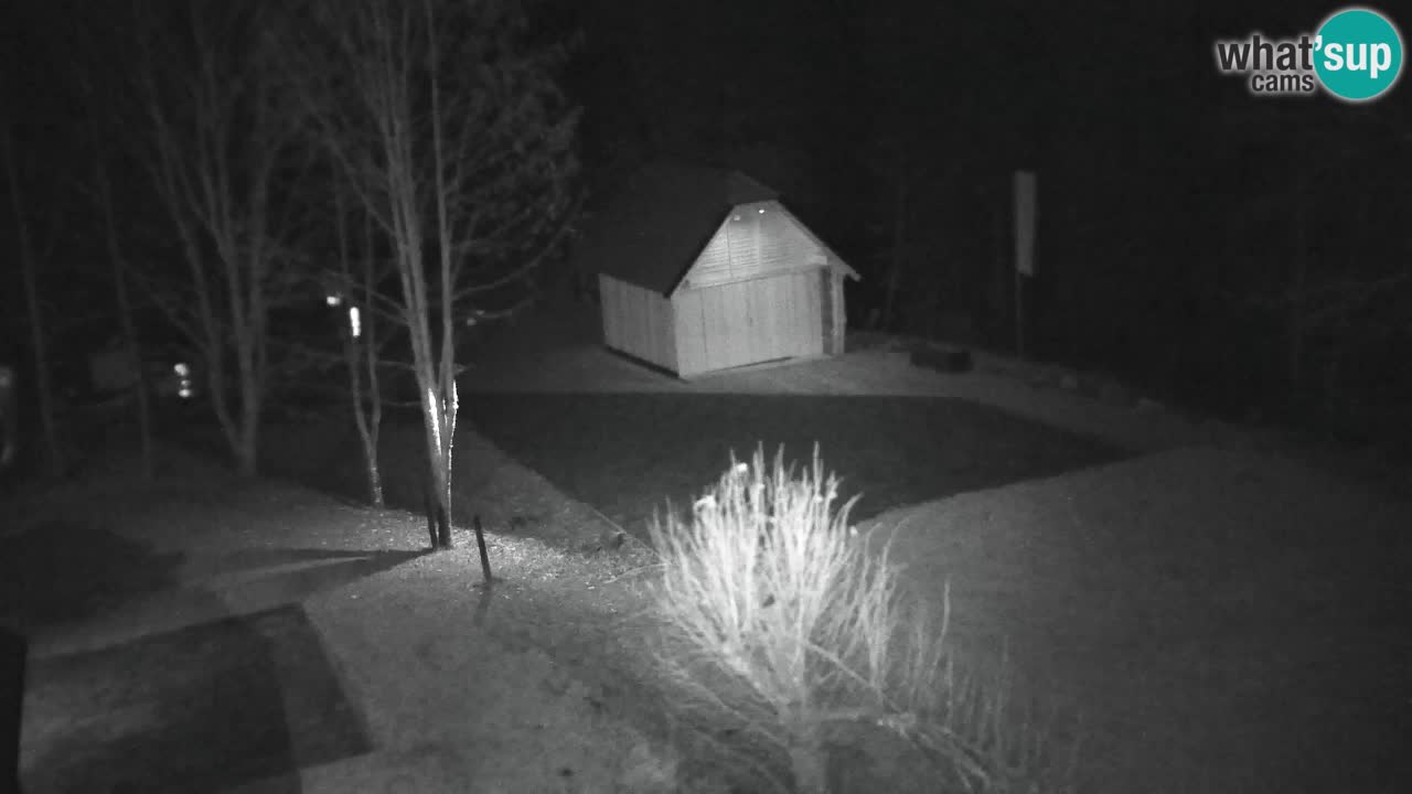 Webcam Lukanja – Water Village | Pohorje Houses