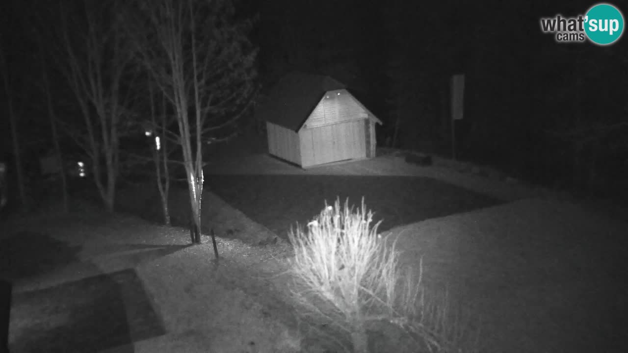 Webcam Lukanja – Water Village | Pohorje Houses