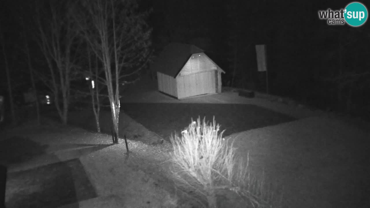 Webcam Lukanja – Water Village | Pohorje Houses