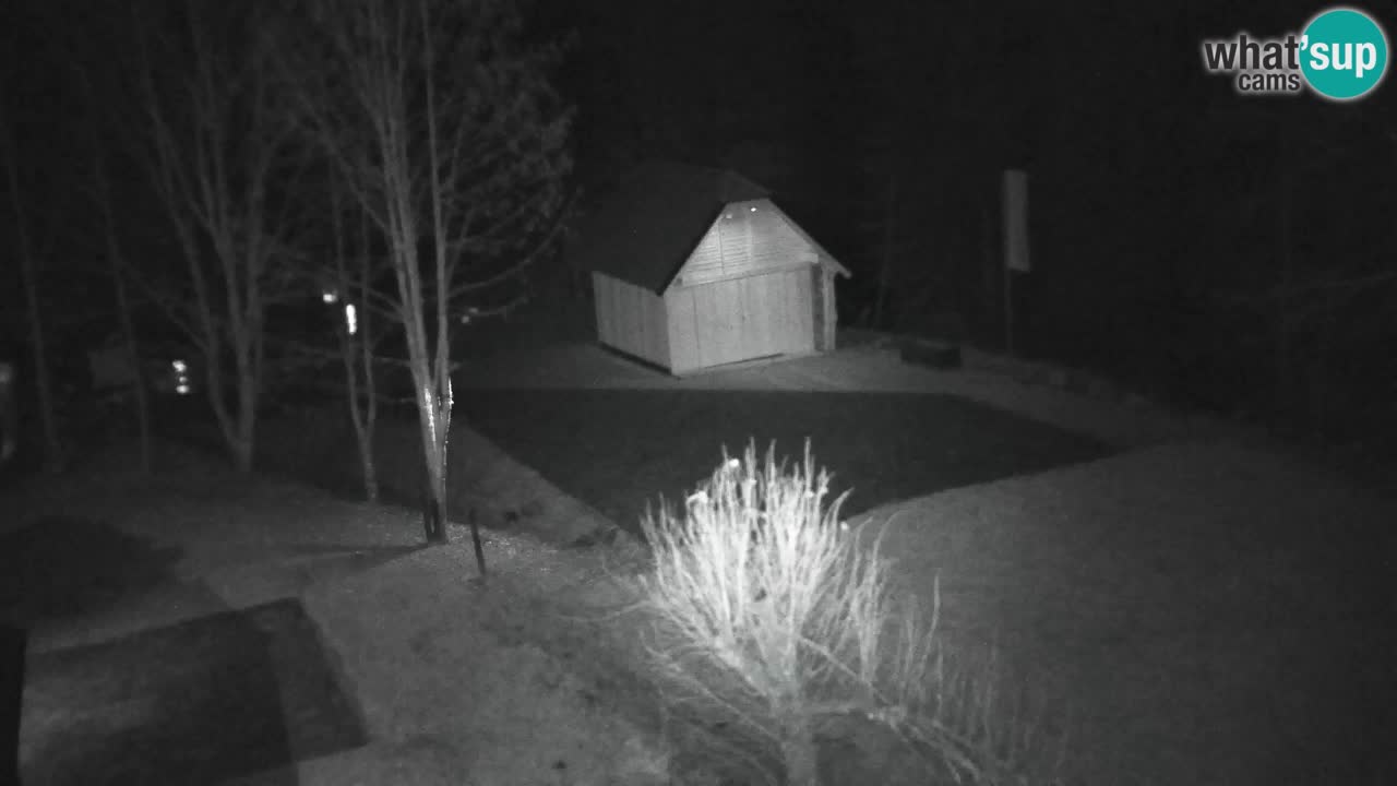 Webcam Lukanja – Water Village | Pohorje Houses