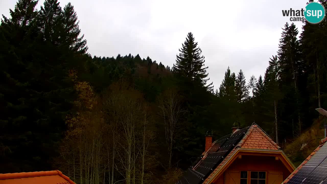 Webcam Lukanja – Pohorje houses a Water village