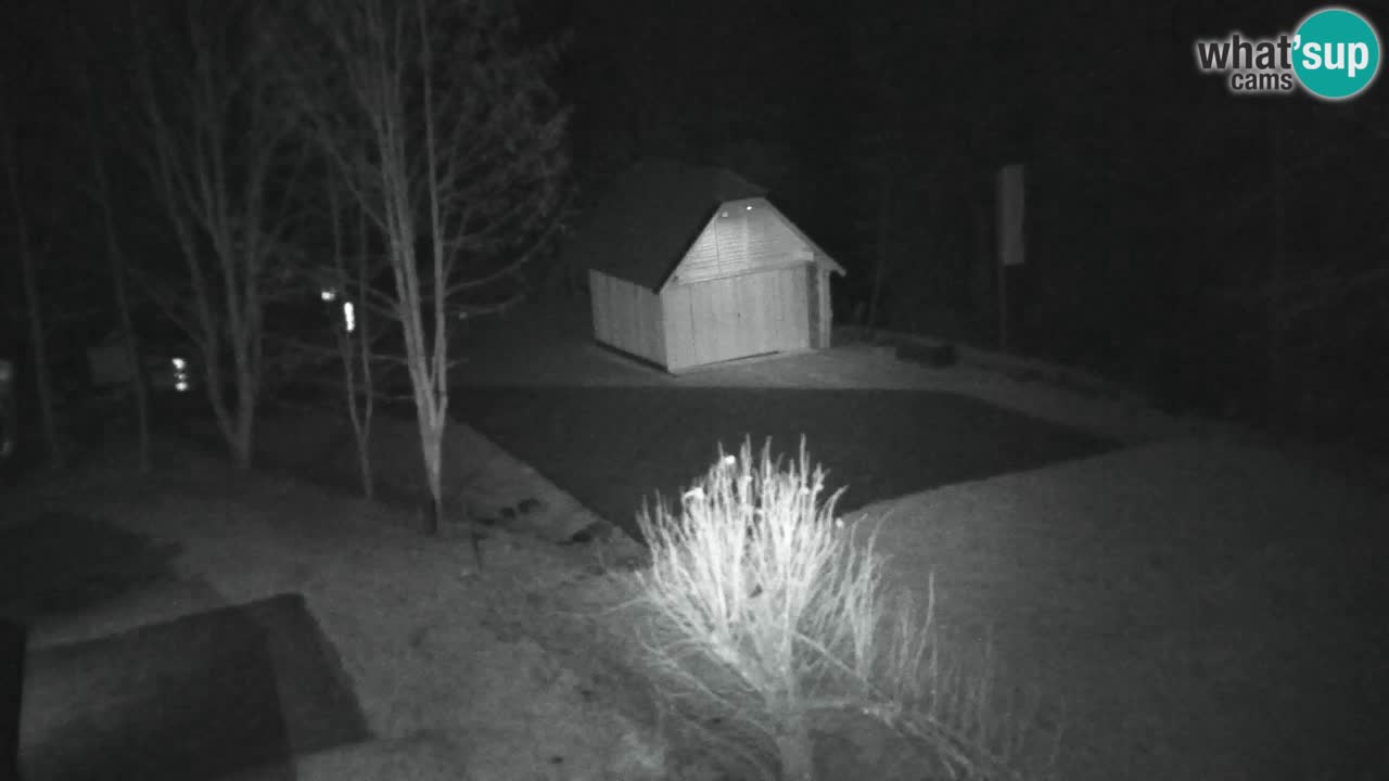 Webcam Lukanja – Water Village | Pohorje Houses