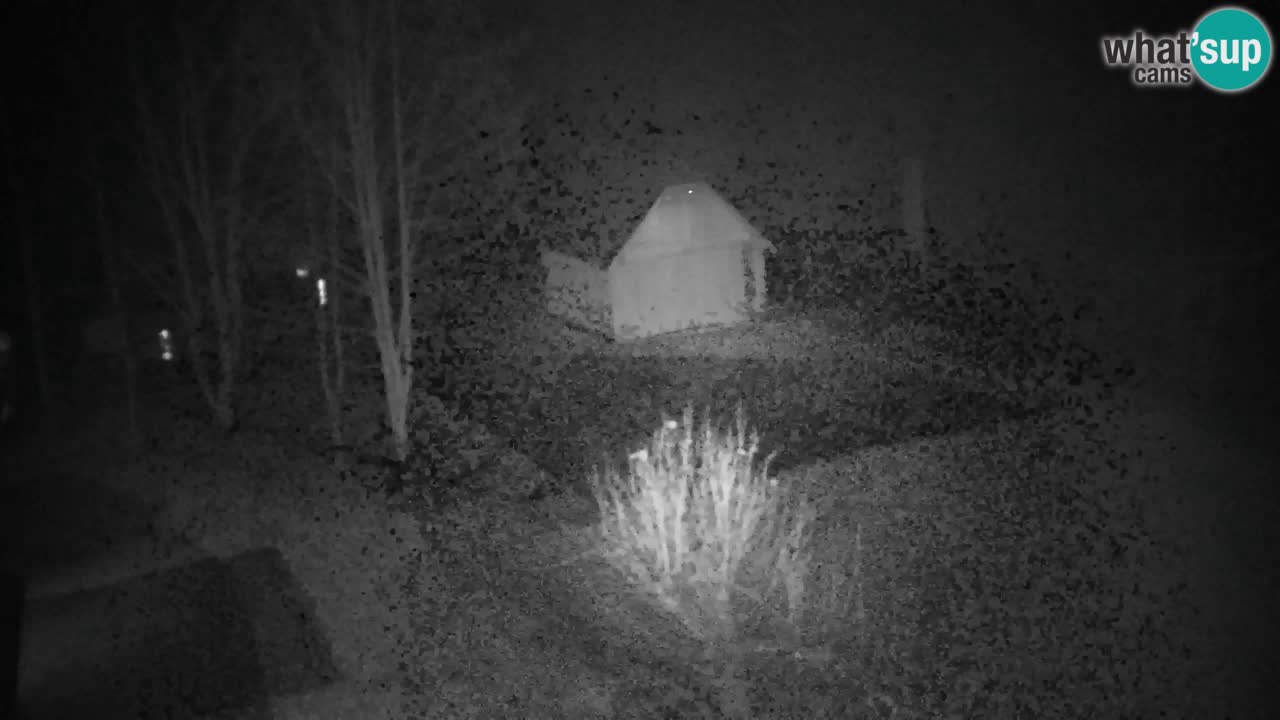 Webcam Lukanja – Pohorje houses a Water village