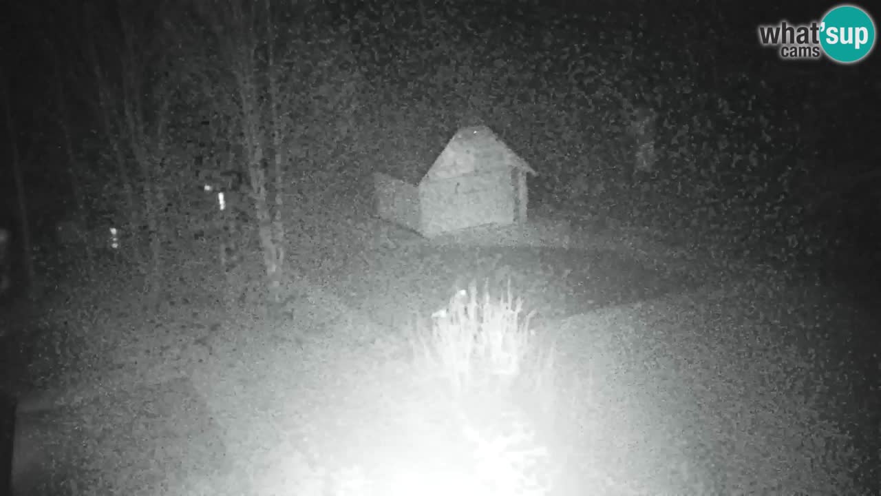 Webcam Lukanja – Water Village | Pohorje Houses