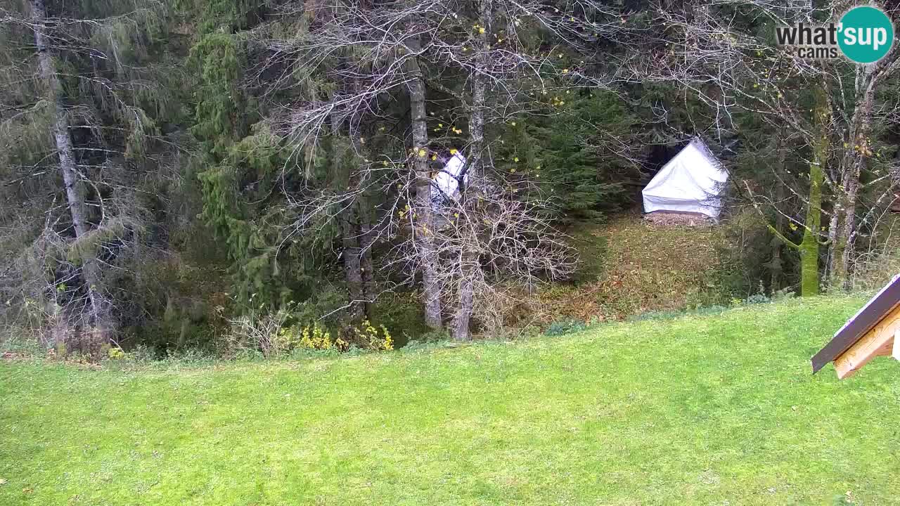 Webcam Lukanja – Water Village | Pohorje Houses