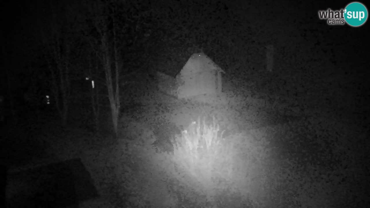 Webcam Lukanja – Pohorje houses a Water village