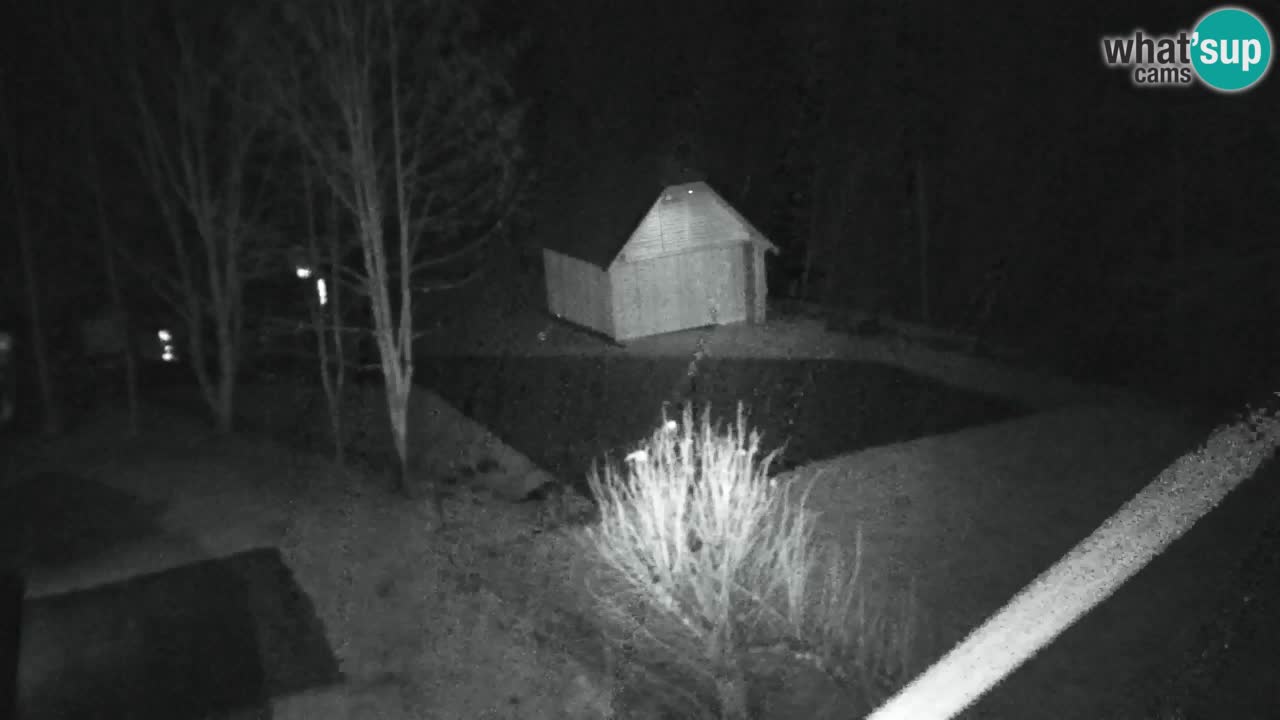 Spletna kamera Lukanja – Water Village | Pohorje Houses