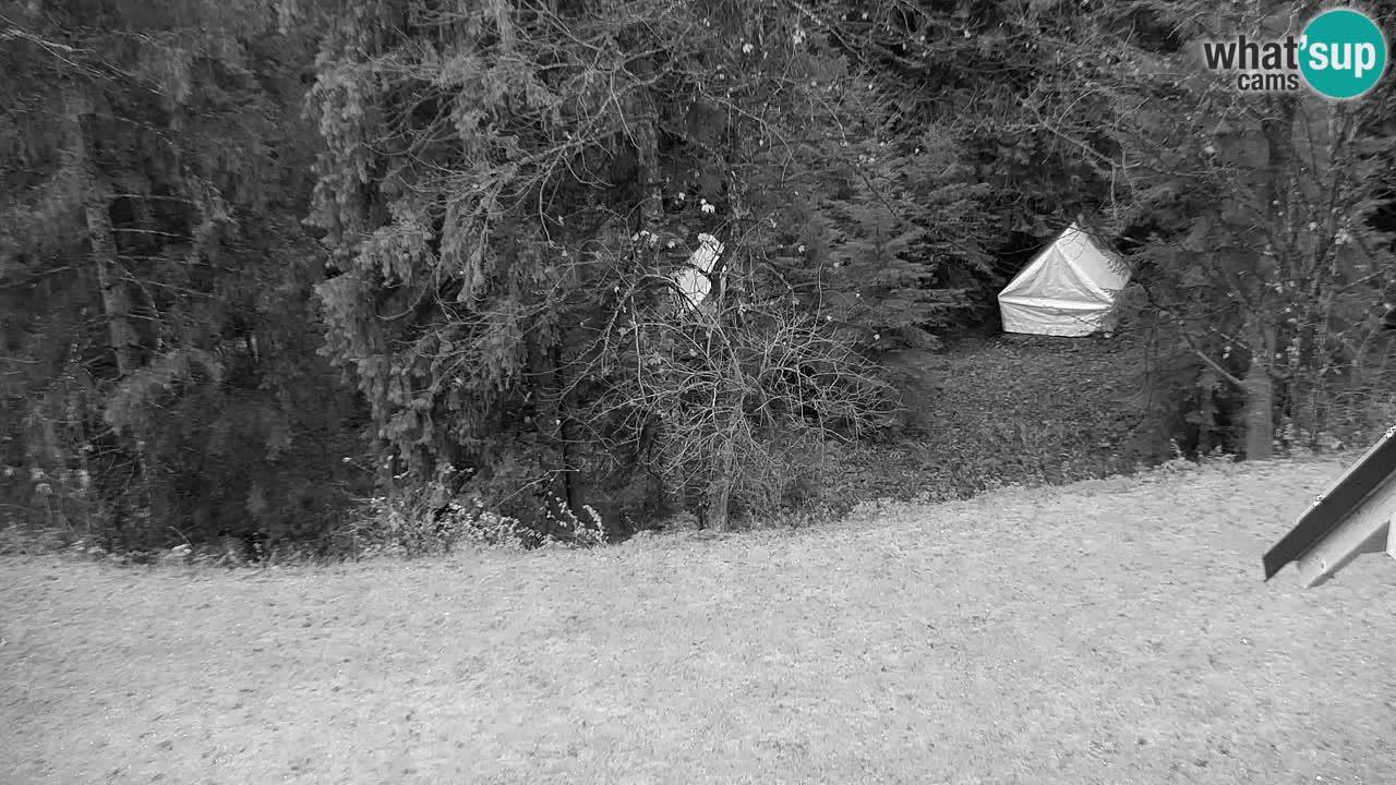 Webcam Lukanja – Pohorje houses a Water village