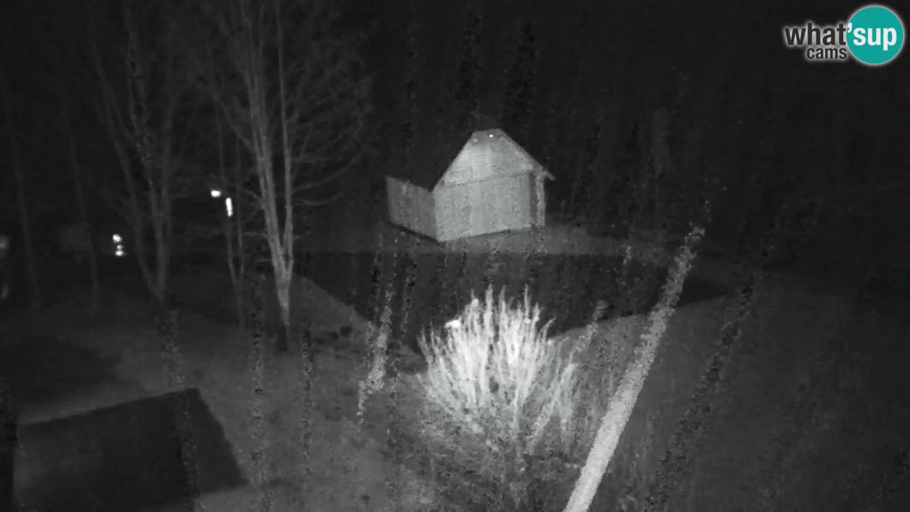 Webcam Lukanja – Pohorje houses a Water village