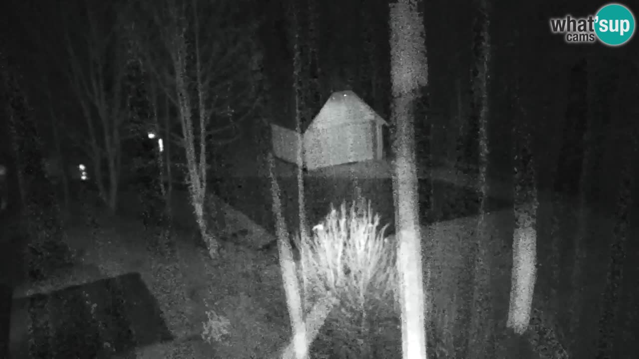 Webcam Lukanja – Pohorje houses a Water village