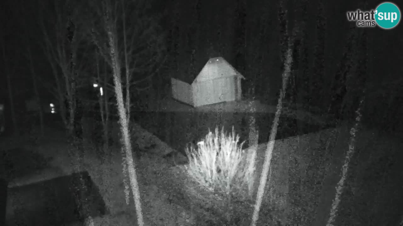 Webcam Lukanja – Pohorje houses a Water village